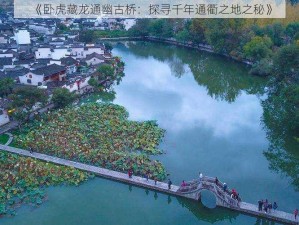 《卧虎藏龙通幽古桥：探寻千年通衢之地之秘》