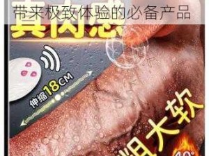 成人国产片女人爽到高潮，带来极致体验的必备产品