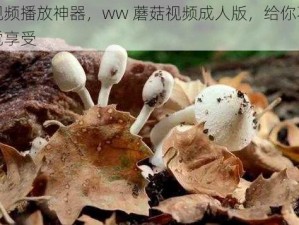 成人视频播放神器，ww 蘑菇视频成人版，给你不一样的视觉享受