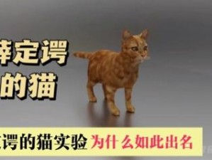 薛定谔的猫与战魂铭人：揭示其作用与影响的新视角