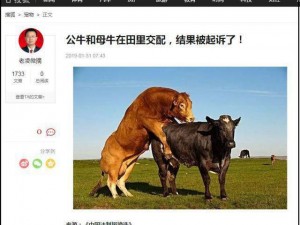 被公牛 c 到高潮喷了——体验前所未有的刺激与快感