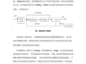 高温缺氧污染区的氧喷泉开发策略与解析：探索缺氧环境氧喷泉技术的创新应用之路