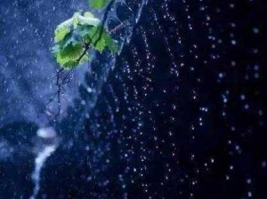 日本一曲二曲三曲高清图片春雨，品质上乘的特色春雨