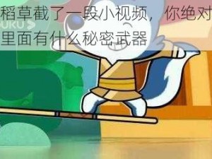 我在稻草截了一段小视频，你绝对想不到这里面有什么秘密武器