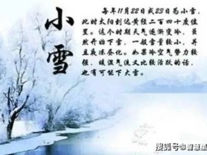 小雪的 yin 荡高日记 H 免费：一款引人入胜的日记应用，记录你的生活点滴