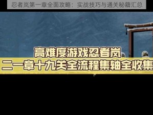 忍者岚第一章全面攻略：实战技巧与通关秘籍汇总