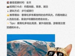 皮耶特旅行物语深度解析：探索自然与人文的交融之美