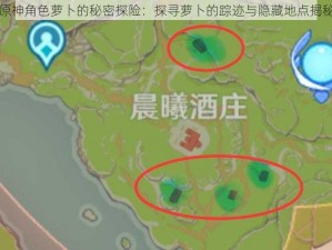 原神角色萝卜的秘密探险：探寻萝卜的踪迹与隐藏地点揭秘