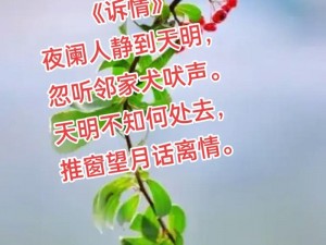 抖音热歌：落花漫天映秋月，夜阑人静谁难眠之歌