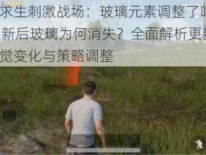 绝地求生刺激战场：玻璃元素调整了吗？531更新后玻璃为何消失？全面解析更新后的视觉变化与策略调整