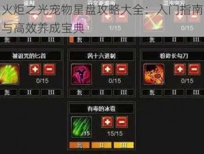 火炬之光宠物星盘攻略大全：入门指南与高效养成宝典