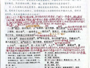 系统升级中狼拿笔记一 2bbuu，让你的学习工作更高效