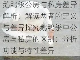 鹅鸭杀公房与私房差异解析：解读两者的定义与差异探究鹅鸭杀中公房与私房的区别：分析功能与特性差异