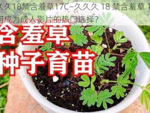 久久久18禁含羞草17C—久久久 18 禁含羞草 17C，为何成为成人影片的热门选择？