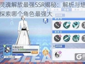 死神灵魂解放最强SSR揭秘：解析与培养策略，探索哪个角色最强大