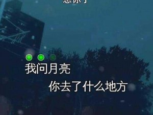 让思念尽情释放，畅享高品质音乐体验——今夜就让我狠狠地想你歌