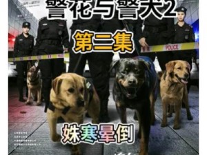 如何观看吕总与张警犬视频：一款多功能视频播放器