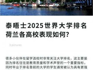 荷兰姓交大2024(荷兰姓交大 2024：交大学子的荷兰探索之旅)