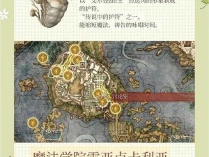 天魔幻想护符系统攻略大全：深度解析护符获取与分解机制