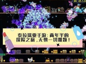 泰拉瑞亚神秘探险：寻找黑隐士的踪迹