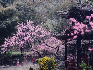 桃花源洞口芳草萋萋图片-桃花源洞口，芳草萋萋，宛如世外桃源