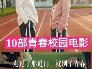 雏鸟圆你一个少女梦旧版：那些年我们一起追过的女孩