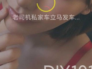 在线diy101谜片高清、如何在线 DIY101 谜片高清？