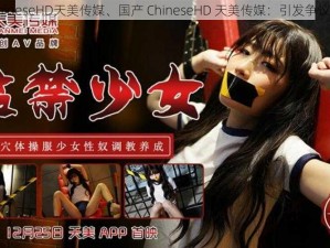 国产ChineseHD天美传媒、国产 ChineseHD 天美传媒：引发争议的影片