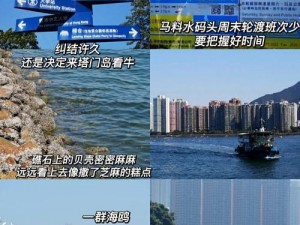 明日离岛安全状况解析：离岛与市中心的比较研究——生存环境与资源差异探寻