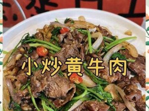 神的后宫作者-小炒黄牛肉的产品介绍：鲜嫩多汁的小炒黄牛肉，让你品尝到正宗的湘菜味道