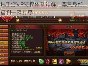 魔域手游VIP特权体系详解：尊贵身份，专属福利一网打尽