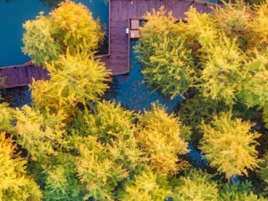 大地资源二中文在线官网—大地资源二中文在线官网是一个什么样的网站？