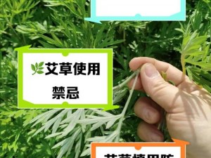 绑定挨草系统后何景、绑定挨草系统后，何景将迎来怎样的变化？