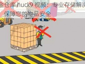 黄金仓库 huck9 视频：专业存储解决方案，保障您的物品安全