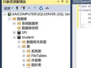 SSIS最经典【如何利用 SSIS 实现数据抽取、转换和加载的最佳实践？】