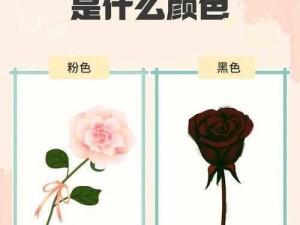 独占1v1小花,如何独占 1v1 小花？