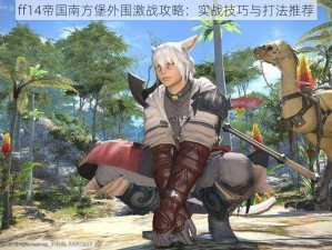 ff14帝国南方堡外围激战攻略：实战技巧与打法推荐