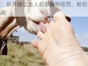 定制狗链：趴开腿让主人超狠鞭刑惩罚，给你的宠物不一样的体验