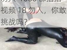 1000部拍拍视频18勿入-1000 部拍拍视频 18 勿入，你敢挑战吗？