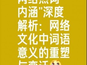 解析网络热词：'字母钢'的内涵与意义