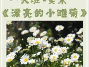 雏菊幼儿小学生张婉莹——陪伴孩子成长的优质教育产品