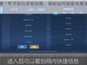 王者荣耀小鹿语音包获取攻略：揭秘如何获取专属语音包秘籍分享