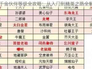 以下供参考：提升千金伙伴等级全攻略：从入门到精英之路全解析与实践技巧详解