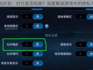 王者荣耀观战好友：对方是否知晓？深度解读游戏中的隐私与透明度边界