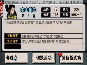 江湖风云录华山剑法揭秘：剑气纵横，武林秘技传承揭秘