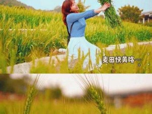 麦子交换 4：神秘之约什么时候上映