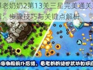 宫爆老奶奶2第13关三星完美通关攻略详解：步骤技巧与关键点解析