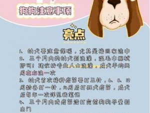 全民宠物照顾手册：安装与配置指南——从基础到高级的全面说明