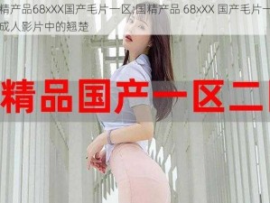 国精产品68xXX国产毛片一区;国精产品 68xXX 国产毛片一区：成人影片中的翘楚