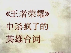 心酸历程：王者峡谷中的荣耀与挑战之路